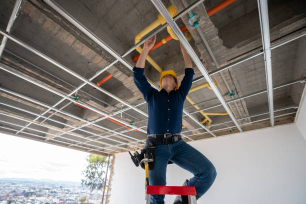 Best Emergency Plumber  in Fayette, MO